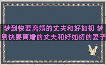 梦到快要离婚的丈夫和好如初 梦到快要离婚的丈夫和好如初的妻子